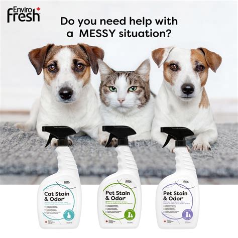 Say Goodbye to Pet Stains and Odors!