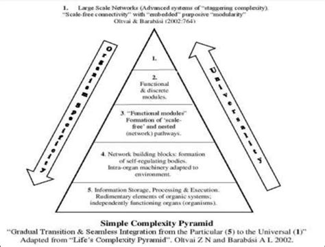 Scale and Complexity: