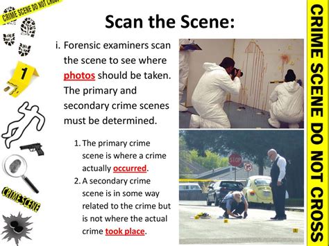 Scan the scene meticulously: