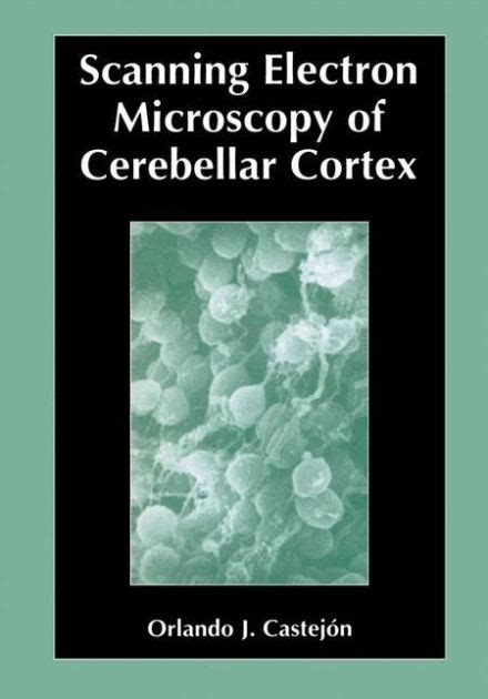Scanning Electron Microscopy of Cerebellar Cortex 1st Edition PDF