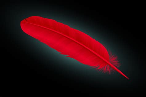 Scarlet Feather Kindle Editon