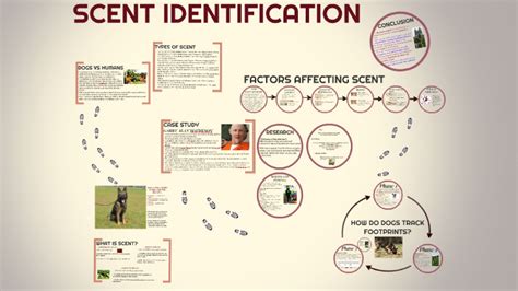 Scent Identification: