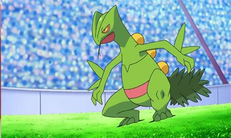 Sceptile's Unstoppable Moveset: Unleashing the Grassy King's True Potential