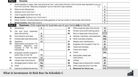 Schedule C Investment at Risk Box: Navigate the Perils for Tax Success