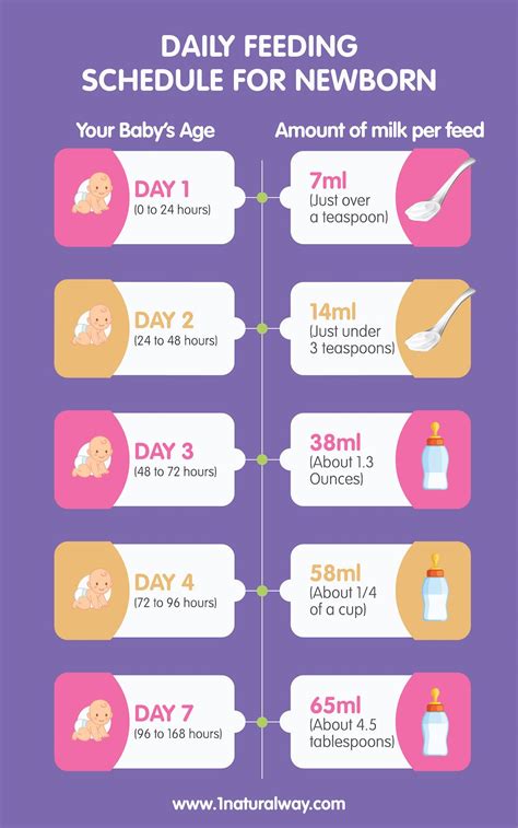 Scheduled Feeding: