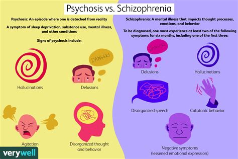 Schizophrenia and Other Psychotic Disorders Epub