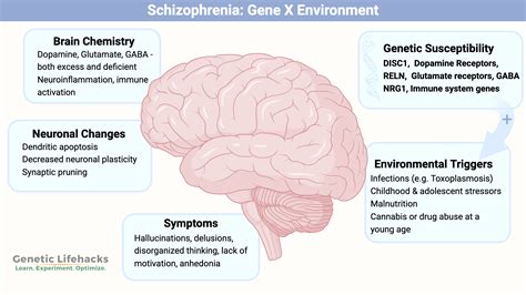 Schizophrenics and the Family Environment PDF