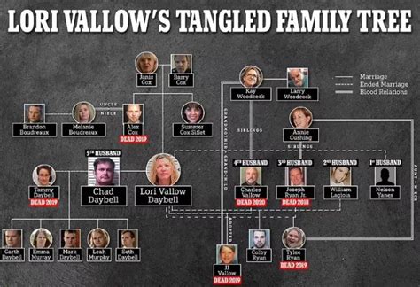 School Days Family Tree: Unraveling the Connections