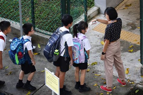 School Reopening 2023: A Comprehensive Guide for Singapore's Schools and Parents