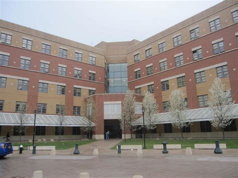 School of Liberal Arts and Sciences: