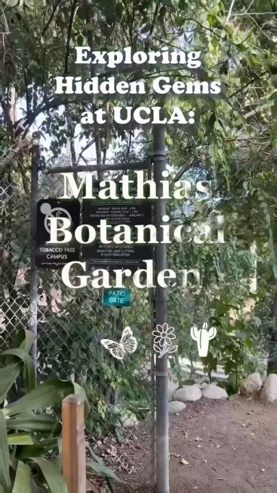 Schools South of UCLA: Exploring Academic Gems Within a 2-Hour Drive
