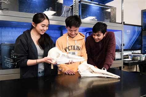 Schools for Marine Biology: Dive into the Depths of Ocean Knowledge