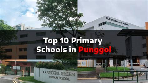 Schools in Punggol: A Comprehensive Guide