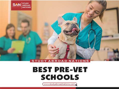 Schools with Pre-Veterinary Programs: A Comprehensive Guide