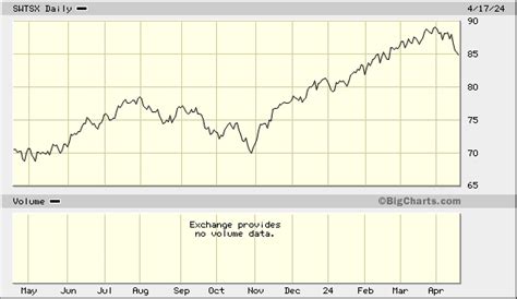 Schwab Total Market Index Fund: A Comprehensive Guide to SWTSX