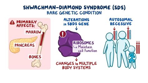 Schwackman-Diamond syndrome