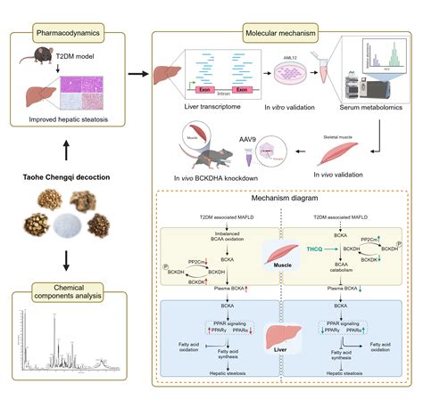 Science Abstract Template