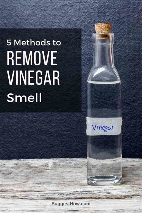 Science Behind Vinegar's Odor-Combating Properties: