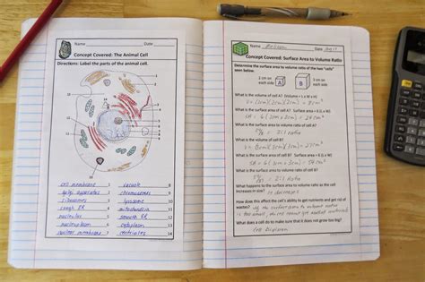 Science Notebook Answers Doc