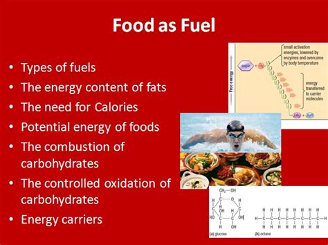 Science Park Food: Fueling Innovation and Satisfying Cravings