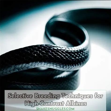 Science Purdue Selective: Unraveling the Enigmatic Process