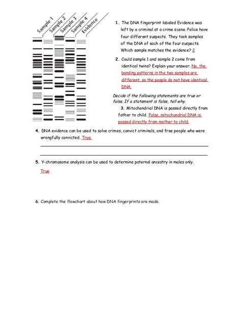 Science Skills Interpreting Diagrams Gene Technology Answers Kindle Editon