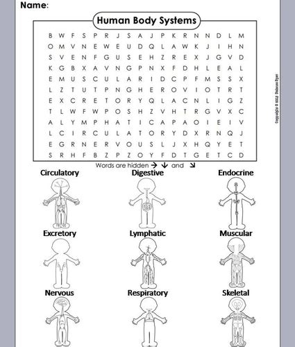 Sciencespot Net Human Body Basics Answer Key Kindle Editon