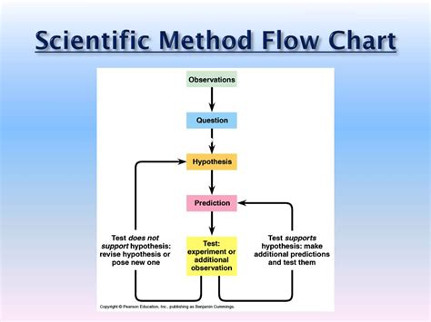 Scientific Method Flow Chart Answer Key PDF