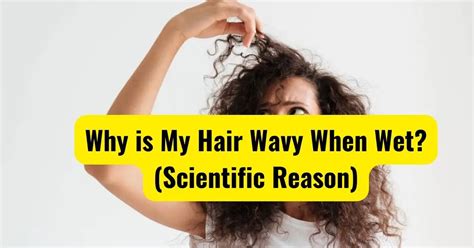 Scientific Principles of Wet in Wavy