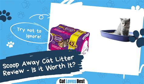 Scoop Away Kitty Litter: The Ultimate 10,000-Word Guide