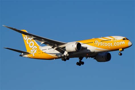 Scoot B787-8: Revolutionizing Air Travel with Unmatched Efficiency and Comfort