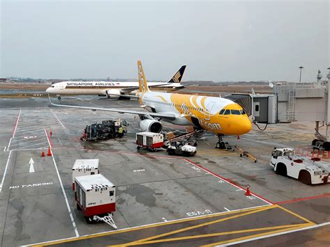 Scoot Flight Schedule Penang to Singapore: 2023-2024