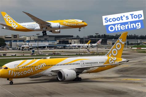 Scoot Flight Status Singapore to Melbourne: Everything You Need to Know