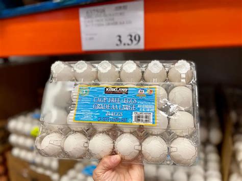 Score Big Savings with a Durable Costco Volleyball!