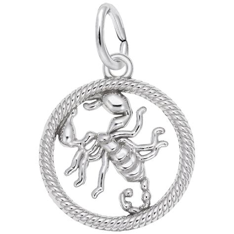 Scorpion Charm: Ancient Symbolism with Contemporary Applications