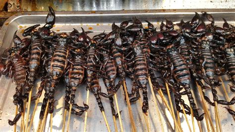 Scorpion Dish: A Culinary Adventure for the Brave