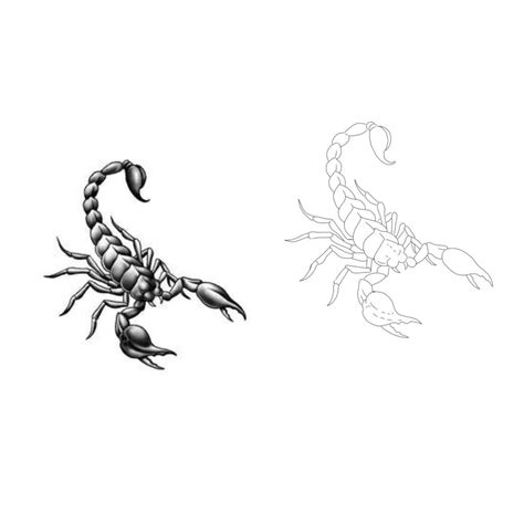 Scorpion Tattoo Template