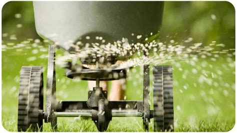 Scotts Snap Fertilizer Spreader: Your Guide to #1 Lawn Care