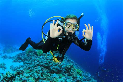 Scuba Diving Reader