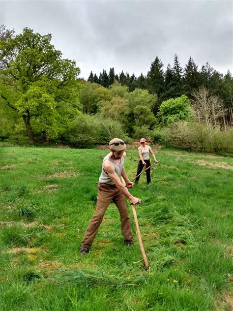 Scything Through the Lands Between: A Closer Look at the Ansbach Scythe