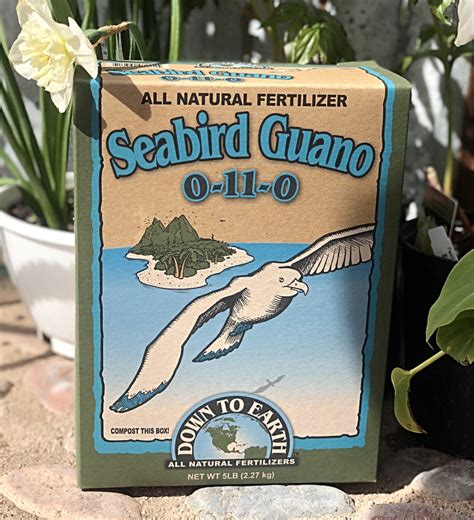 Seabird Guano: