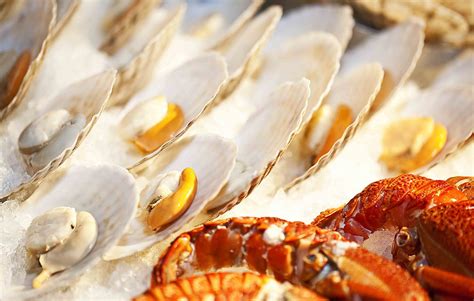 Seafood Galore: