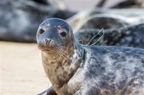 Seal Tightly: