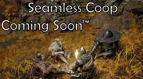 Seamless Co-Op: No More Respawning!