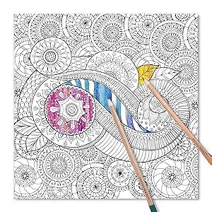 Seashells Portable Adult Coloring Book 31 stress-relieving designs Studio Series Portable Coloring Book Doc