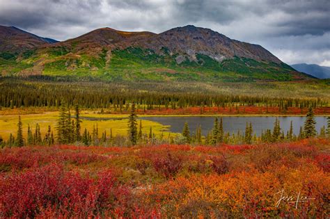 Seasons of Alaska