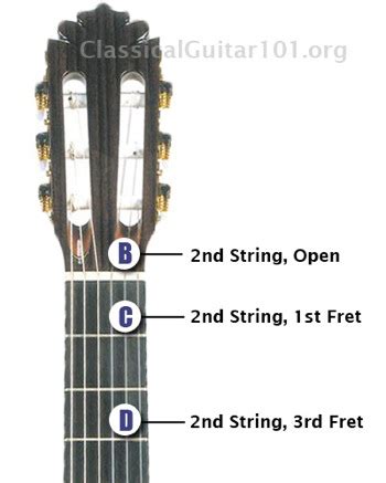 Second String Doc