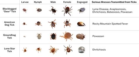 Seconds to Us: How 60 Ticks Can Make All the Difference