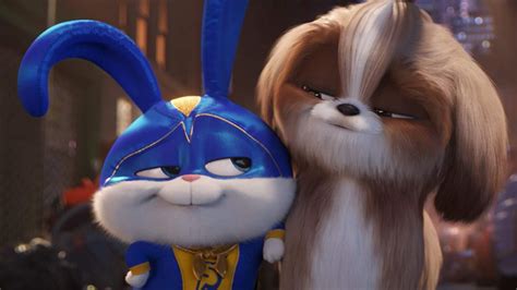 Secret Life of Pets 2 Box Office: A Tail-Wagging Success