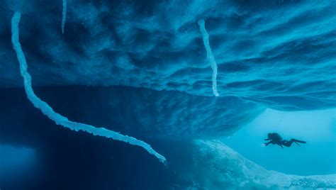 Secret Under Antarctica Under the Sea Doc